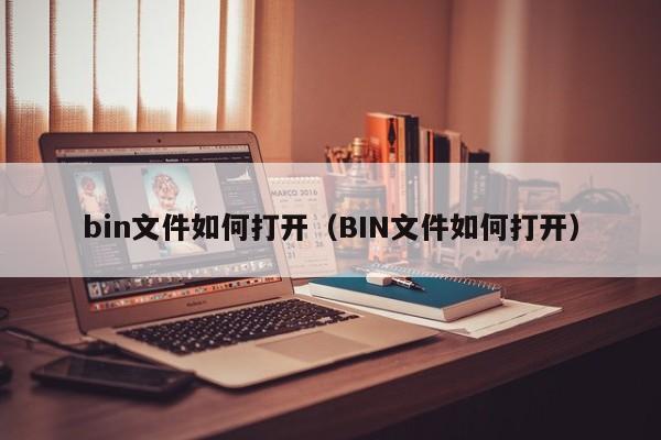 bin文件如何打开(BIN文件如何打开)
